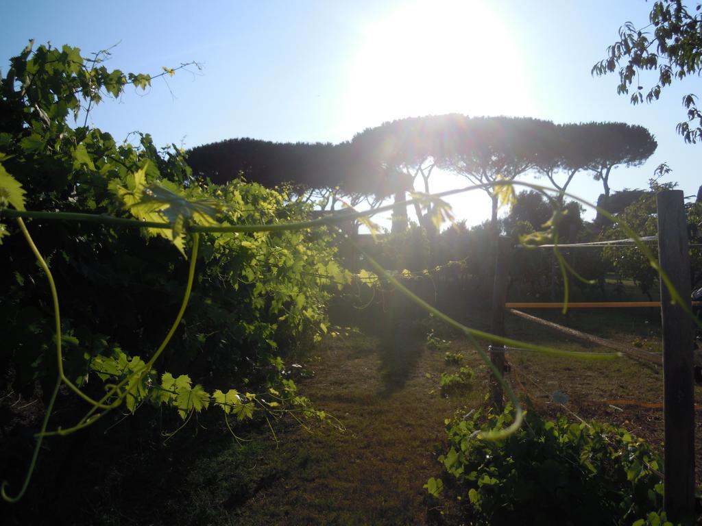 Casa Vacanze Vigna Di Valle Bracciano  Exterior foto
